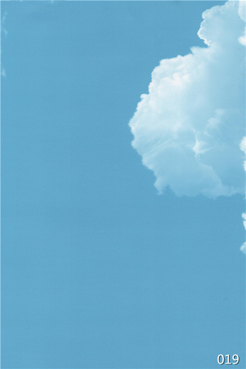 陜西竹木纖維快裝墻板